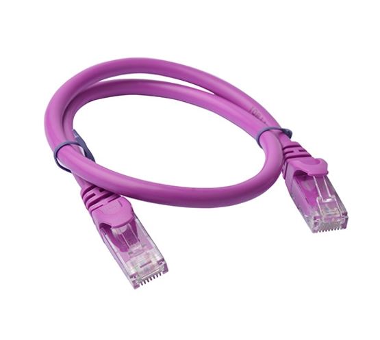 8Ware CAT6 Cable 0.25m - Purple Premium RJ45 Ethernet Network LAN UTP Patch Cord 26AWG CU Jacket - Image 2