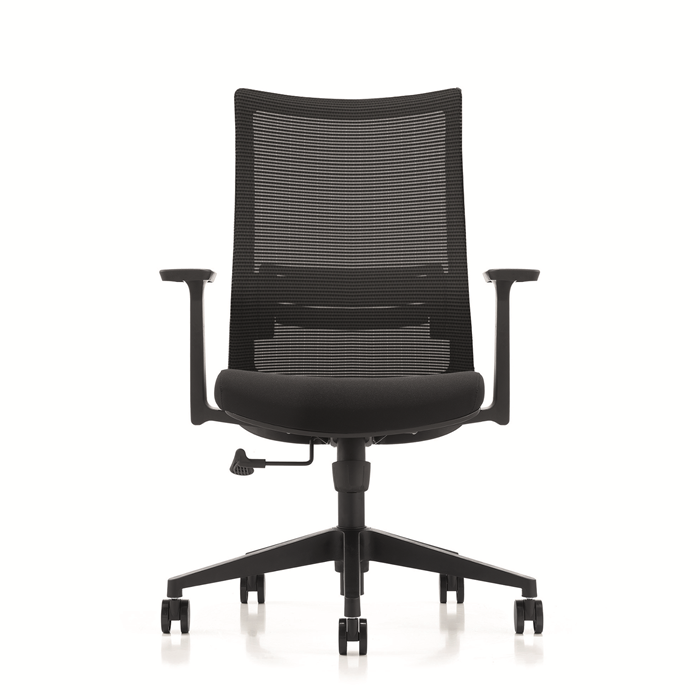 LDR ErgoLite Max Office Chair – Ergonomic with lumbar support, mesh back, moulded foam seat, synchro tilt & fixed arms.Black colour - Image 2