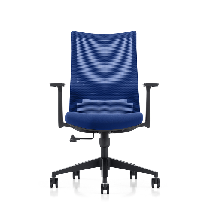 LDR ErgoLite Max Office Chair – Ergonomic with lumbar support, mesh back, moulded foam seat, synchro tilt & fixed arms. Blue colour - Image 2