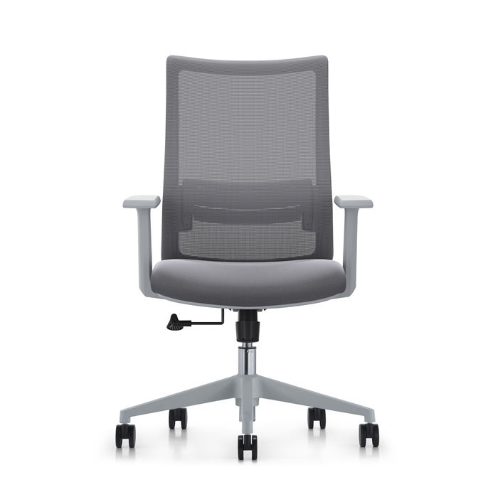 LDR ErgoLite Max Office Chair – Ergonomic with lumbar support, mesh back, moulded foam seat, synchro tilt & fixed arms. Grey colour - Image 2