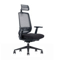 LDR ErgoLite Ultra Chair–Premium ergonomic office chair with 3D arms,seat slider,lumbar support,5 lock backrest & synchro tilt.Executive Styling,Black - Image 1