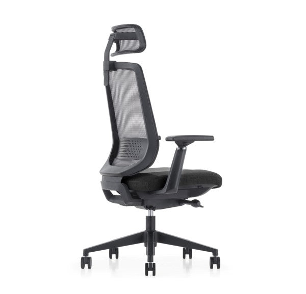 LDR ErgoLite Ultra Chair–Premium ergonomic office chair with 3D arms,seat slider,lumbar support,5 lock backrest & synchro tilt.Executive Styling,Black - Image 3