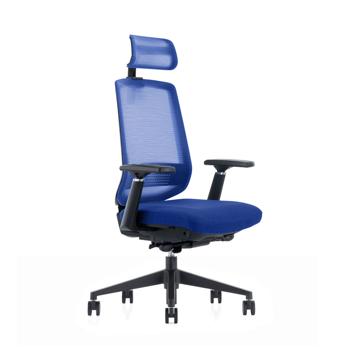 LDR ErgoLite Ultra Chair–Premium ergonomic office chair with 3D arms,seat slider,lumbar support,5 lock backrest & synchro tilt.Executive Styling,Blue - Image 1