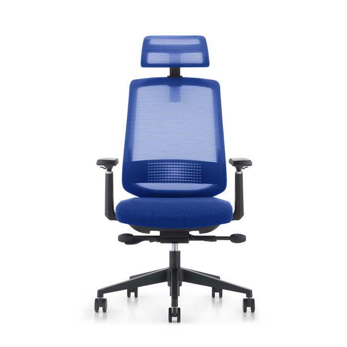 LDR ErgoLite Ultra Chair–Premium ergonomic office chair with 3D arms,seat slider,lumbar support,5 lock backrest & synchro tilt.Executive Styling,Blue - Image 2