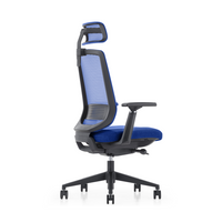 LDR ErgoLite Ultra Chair–Premium ergonomic office chair with 3D arms,seat slider,lumbar support,5 lock backrest & synchro tilt.Executive Styling,Blue - Image 3