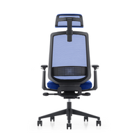 LDR ErgoLite Ultra Chair–Premium ergonomic office chair with 3D arms,seat slider,lumbar support,5 lock backrest & synchro tilt.Executive Styling,Blue - Image 4