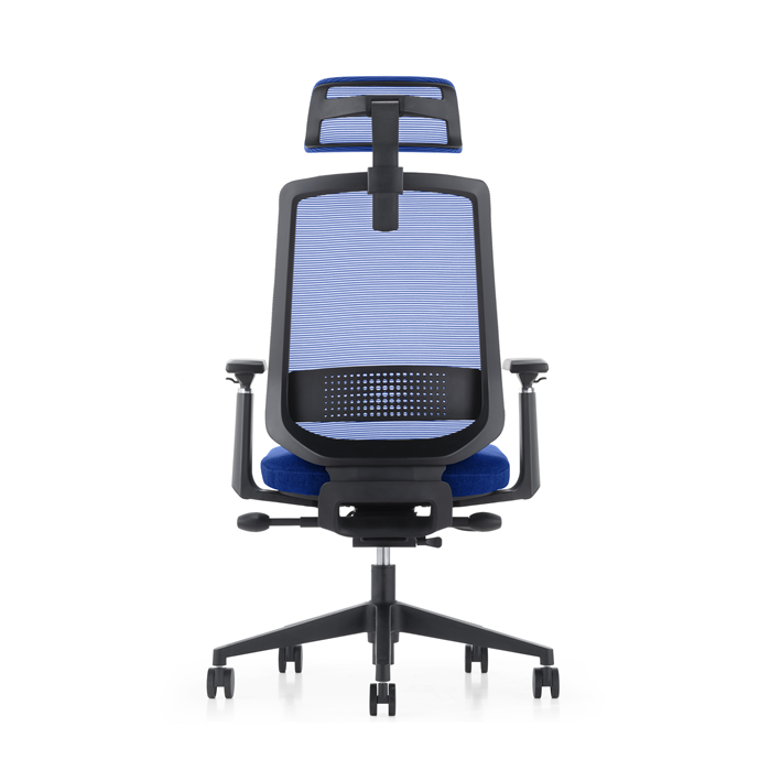 LDR ErgoLite Ultra Chair–Premium ergonomic office chair with 3D arms,seat slider,lumbar support,5 lock backrest & synchro tilt.Executive Styling,Blue - Image 4