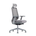 LDR ErgoLite Ultra Chair–Premium ergonomic office chair with 3D arms,seat slider,lumbar support,5 lock backrest & synchro tilt.Executive Styling,Grey - Image 1