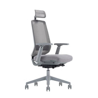 LDR ErgoLite Ultra Chair–Premium ergonomic office chair with 3D arms,seat slider,lumbar support,5 lock backrest & synchro tilt.Executive Styling,Grey - Image 1