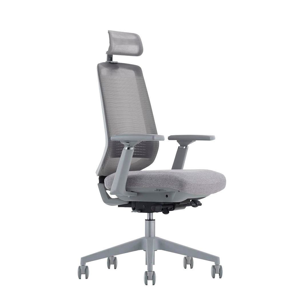 LDR ErgoLite Ultra Chair–Premium ergonomic office chair with 3D arms,seat slider,lumbar support,5 lock backrest & synchro tilt.Executive Styling,Grey - Image 1