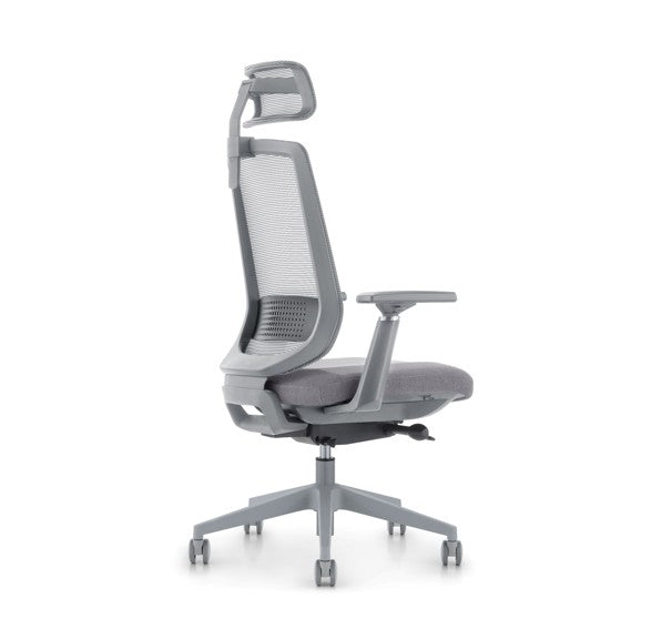 LDR ErgoLite Ultra Chair–Premium ergonomic office chair with 3D arms,seat slider,lumbar support,5 lock backrest & synchro tilt.Executive Styling,Grey - Image 3
