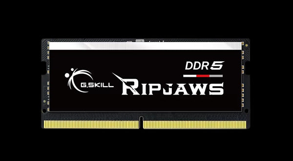 G.SKILL F5-5600S4645A48GX1-RS 48GB (1 x 48GB)/ DDR5 5600 MT/s / Timings 46-45-45-89/ Voltage 1.1V