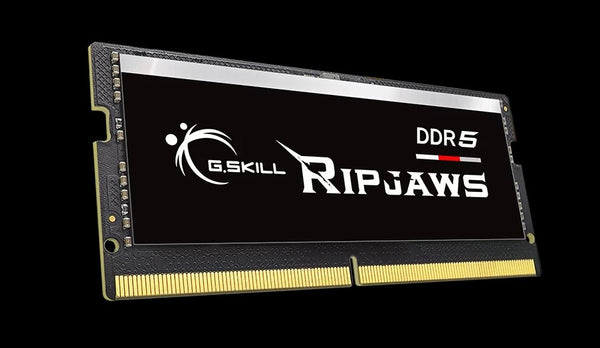 G.SKILL F5-5600S4645A48GX1-RS 48GB (1 x 48GB)/ DDR5 5600 MT/s / Timings 46-45-45-89/ Voltage 1.1V