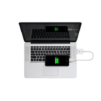 Pisen Mr White Lightning to USB-A Cable (20CM) White - Support Both Fast Charging & Data Cable,Stretch-Resistant, iPhone/iPad/MacBook,2 Years Warranty - Image 2