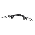 BELKIN Cybersecurity and Secure KVM TAA DUAL (1) HDMI-HDMI (1) DP-DP with USB and Audio Combo  6 ft (1.8M) - Black (F1DN2CC-HHPP6t), 3 Years Warranty - Image 1