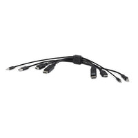 BELKIN Cybersecurity and Secure KVM TAA DUAL (1) HDMI-HDMI (1) DP-DP with USB and Audio Combo  6 ft (1.8M) - Black (F1DN2CC-HHPP6t), 3 Years Warranty - Image 4