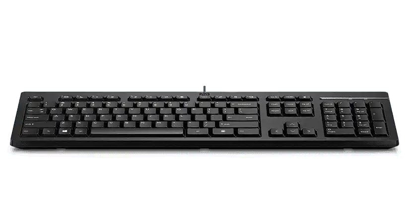 HP 125 Wired Keyboard - Compatible with Windows 10, Desktop PC, Laptop, Notebook USB Plug and Play Connectivity, Easy Cleaning 1YR WTY - Image 2