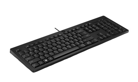 HP 125 Wired Keyboard - Compatible with Windows 10, Desktop PC, Laptop, Notebook USB Plug and Play Connectivity, Easy Cleaning 1YR WTY - Image 1
