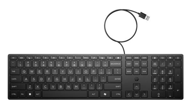 HP Wired 320K Full-Sized Keyboard - Compatible with Windows 10, Desktop PC, Laptop, Notebook USB Plug and Play Connectivity, Easy Cleaning 1YR WTY - Image 5