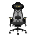 ASUS ROG DESTRIER EDITION 20 Ergonomic Gaming Chair, Aluminum Frame, Breathable Mesh, 3D Armrests, Adjustable Lumbar & Headrest, 360° Arm Rotation - Image 1