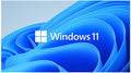 Microsoft Windows 11 Professional for Workstation 64 BIT - By Order - Image 1