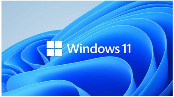 Microsoft Windows 11 Professional for Workstation 64 BIT - By Order - Image 1